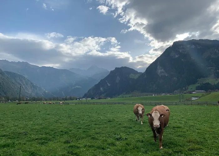 Apartament Alpen-apart